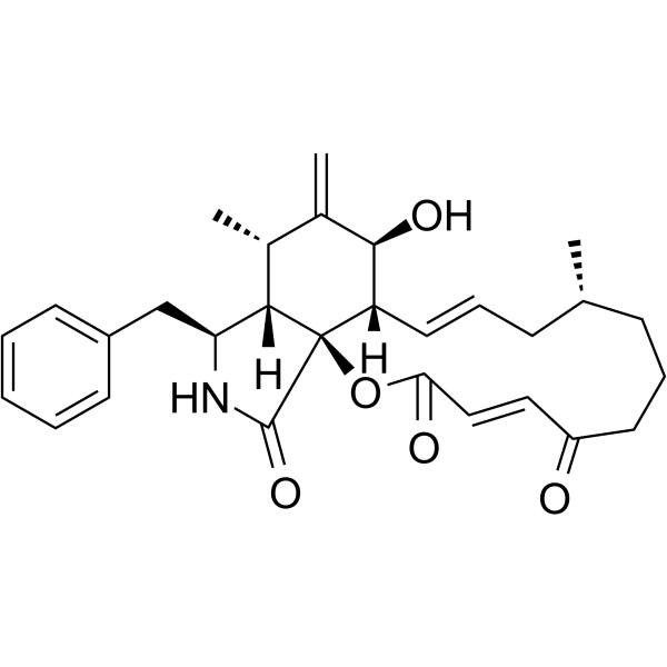 Cytochalasin A 14110-64-6